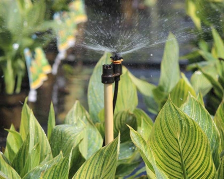 Micro-Sprinkler 微喷头 直立型